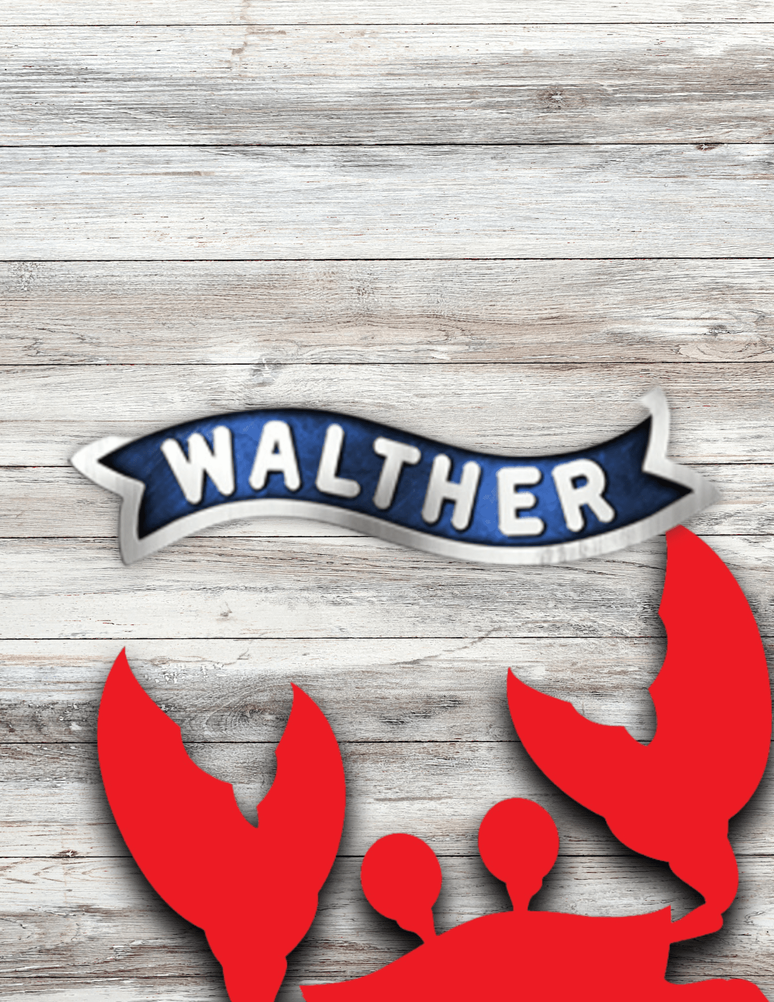 Walther GEAR Holster