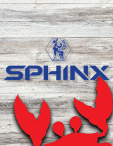 Sphinx Gear Holsters